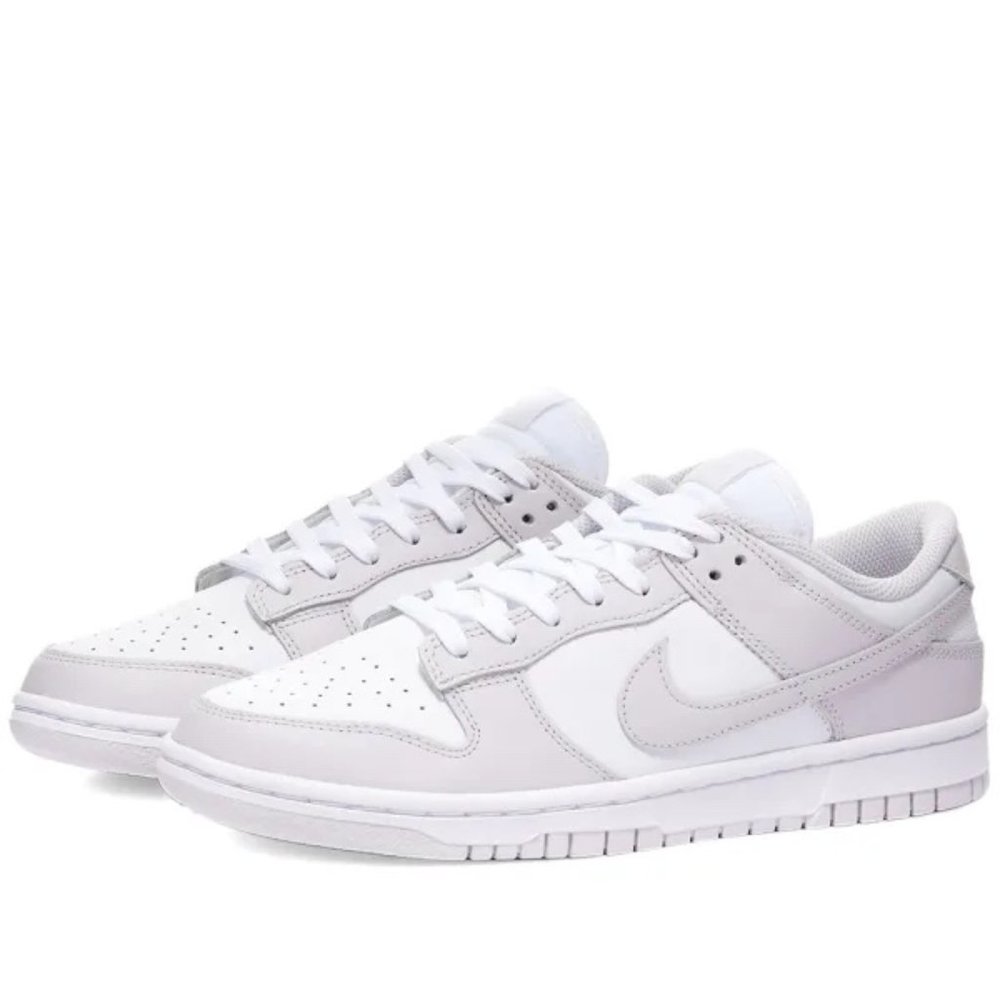 Nike Dunk Low Venice 6W